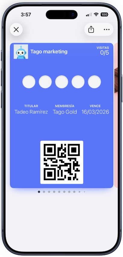 Verificación y notificaciones